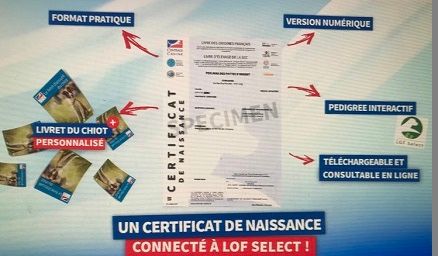 des Sources du Fond de Laye - 1er septembre 2025 .......